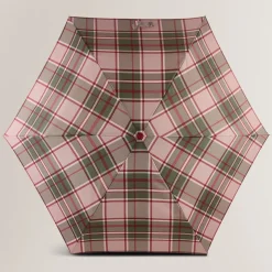 Autumn Check